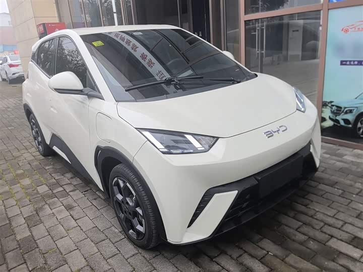 Фото 4 - BYD Seagull