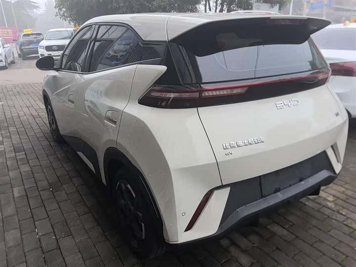 Фото 5 - BYD Seagull