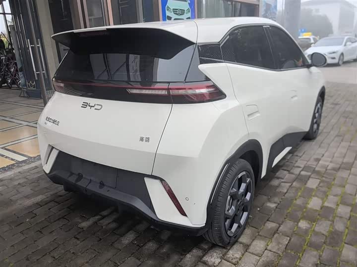 Фото 7 - BYD Seagull