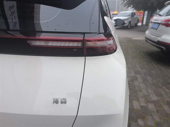 Фото 8 - BYD Seagull