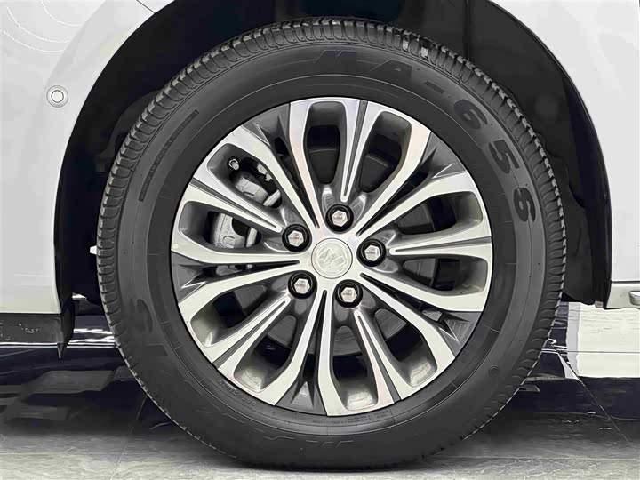 Фото 4 - Buick GL8 ES