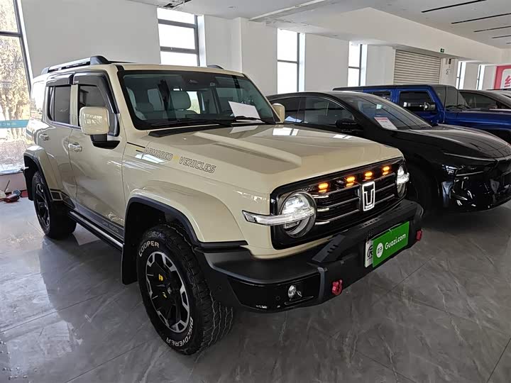 Фото 4 - Tank 300 Hybrid