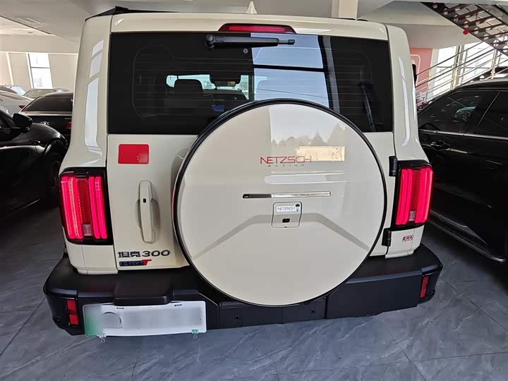 Фото 6 - Tank 300 Hybrid