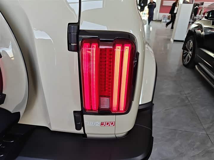 Фото 8 - Tank 300 Hybrid