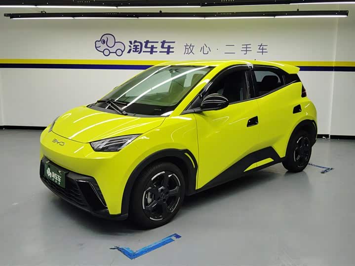 Фото 1 - BYD Seagull