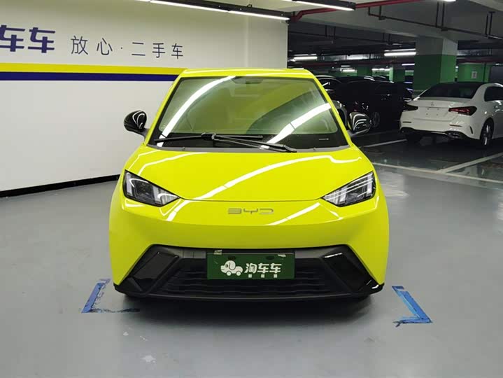 Фото 2 - BYD Seagull