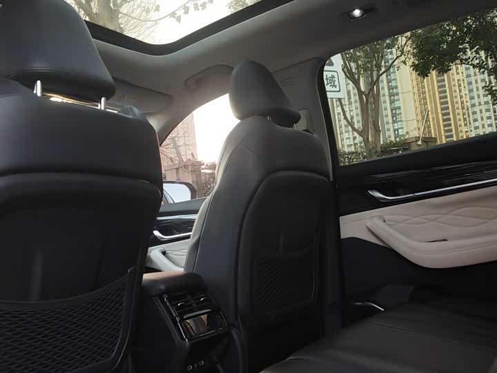 Фото 3 - Geely Monjaro