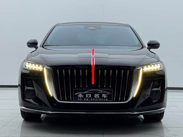 Фото 3 - Hongqi H5