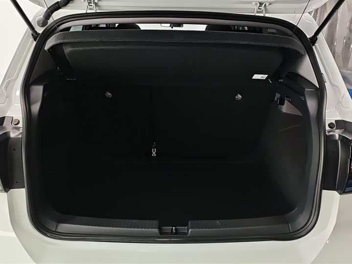 Фото 4 - Volkswagen Tacqua