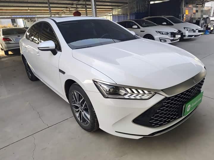 Фото 4 - BYD Qin Plus