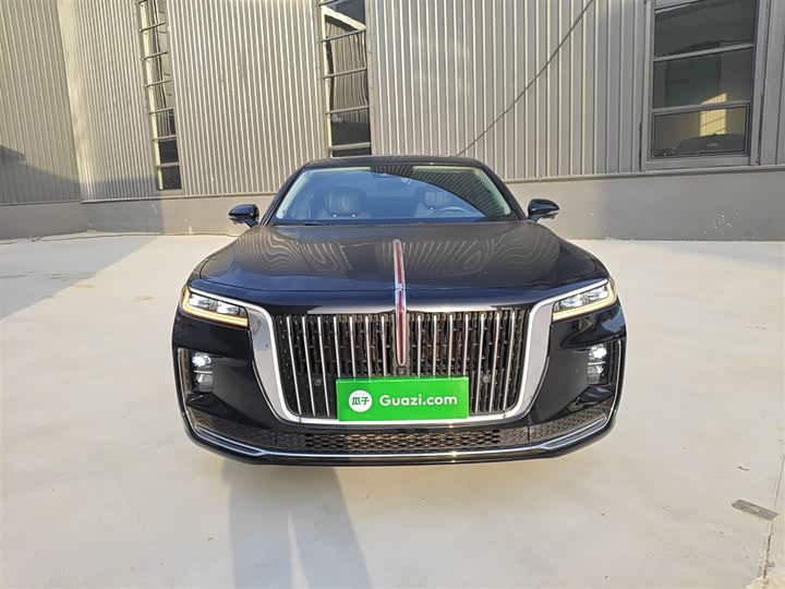 Фото 3 - Hongqi H9