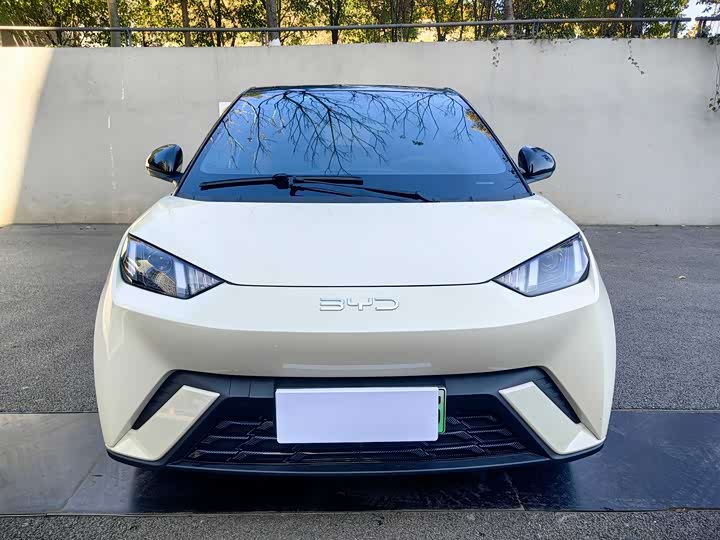 Фото 1 - BYD Seagull