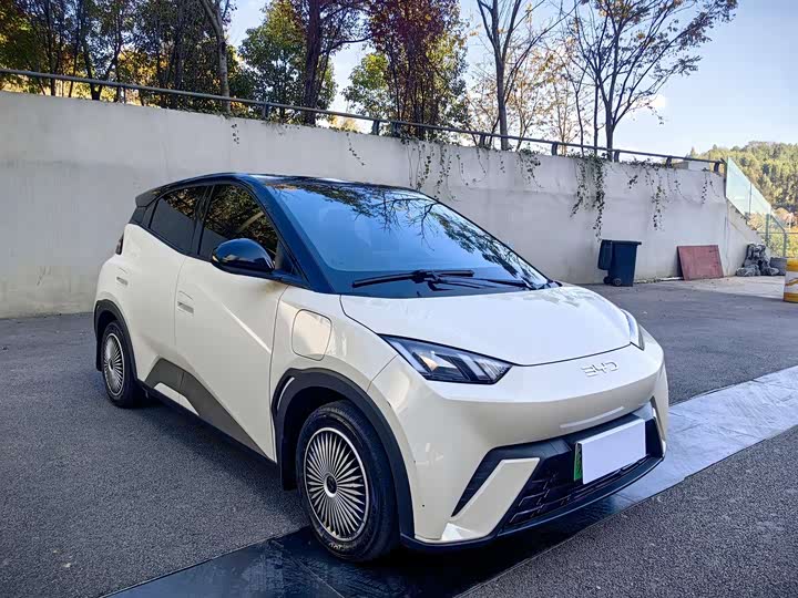 Фото 2 - BYD Seagull