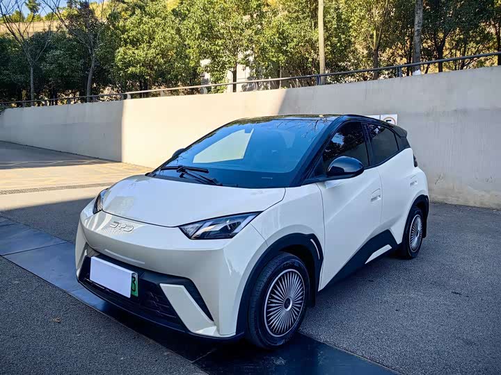 Фото 3 - BYD Seagull