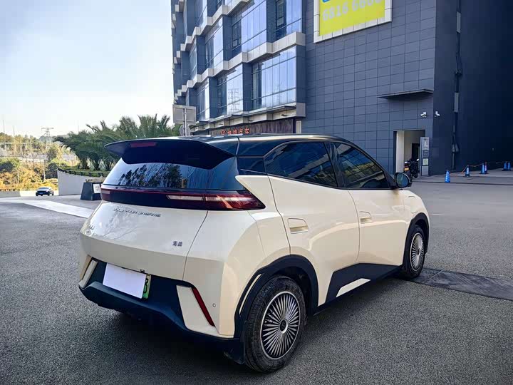 Фото 4 - BYD Seagull