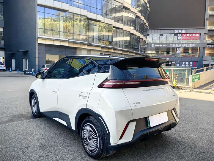 Фото 6 - BYD Seagull