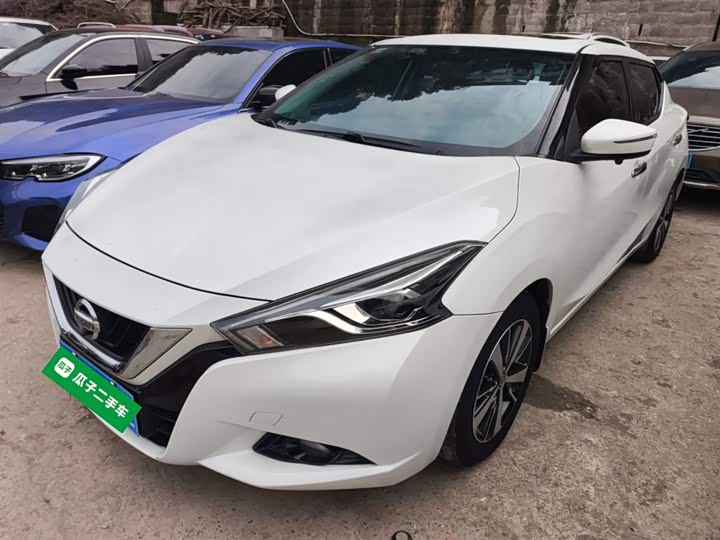 Фото 2 - Nissan Lannia