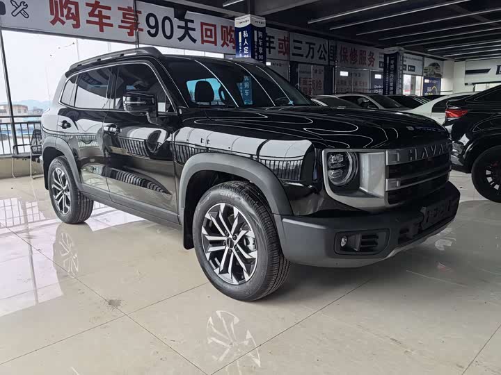 Фото 3 - Haval Dargo
