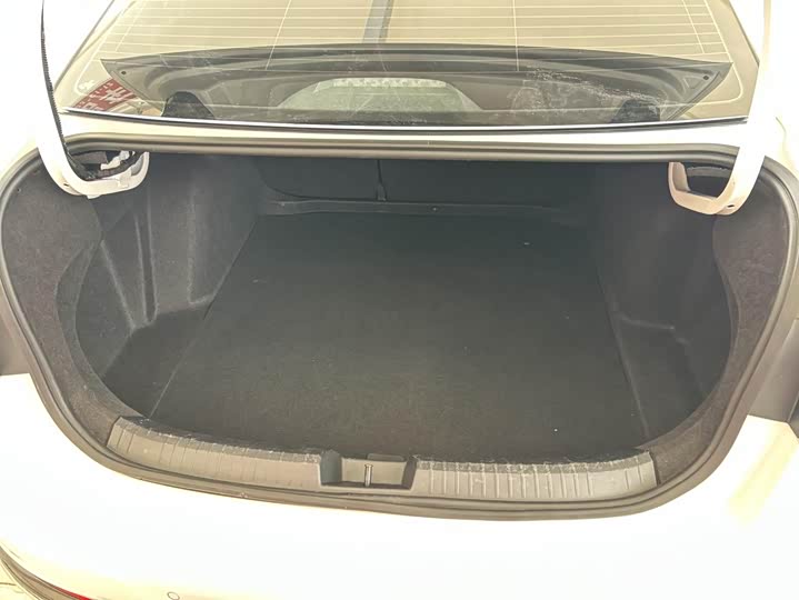 Фото 6 - Volkswagen Sagitar L