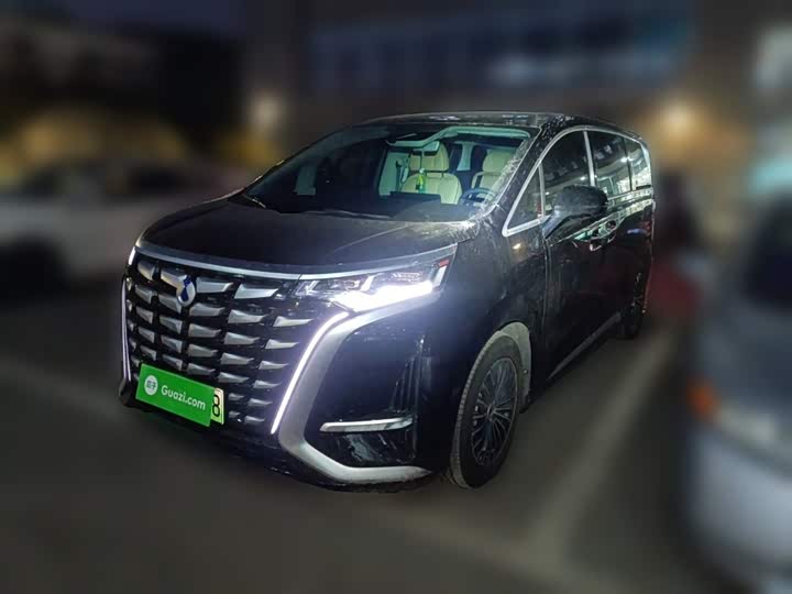 Фото 1 - Denza D9