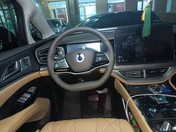 Фото 3 - Denza D9