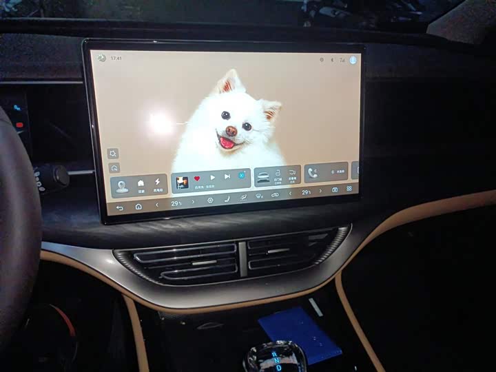 Фото 6 - Denza D9