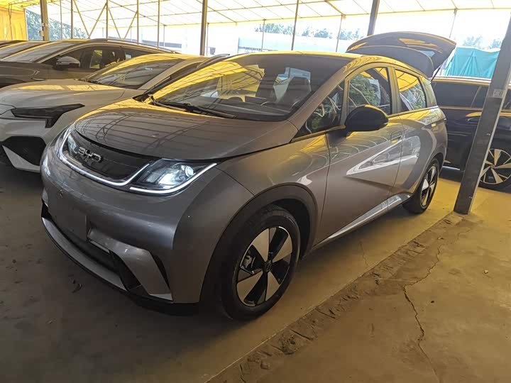 Фото 1 - BYD Dolphin