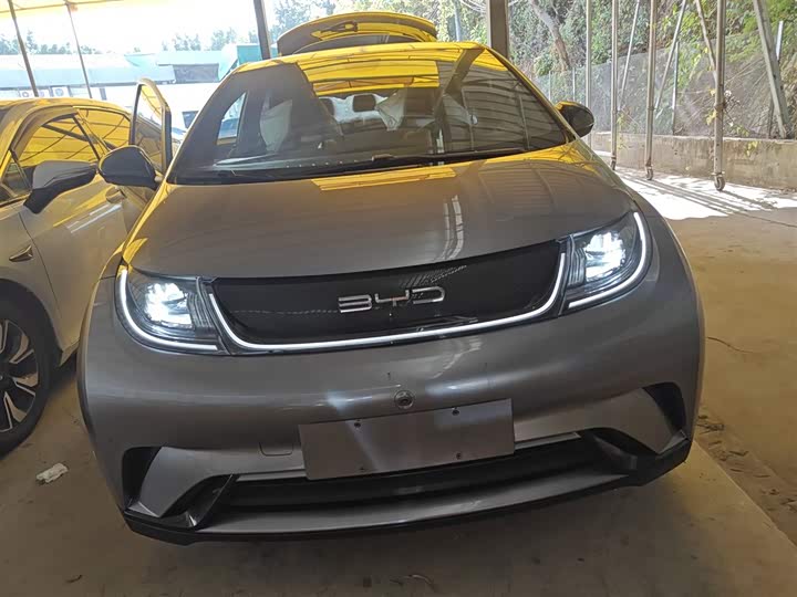 Фото 3 - BYD Dolphin