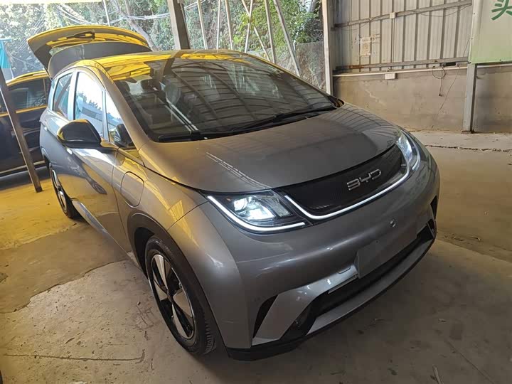 Фото 4 - BYD Dolphin