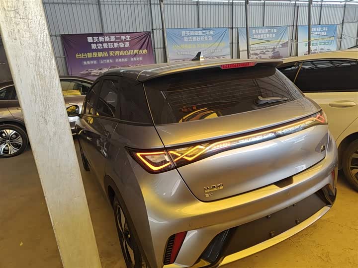 Фото 5 - BYD Dolphin