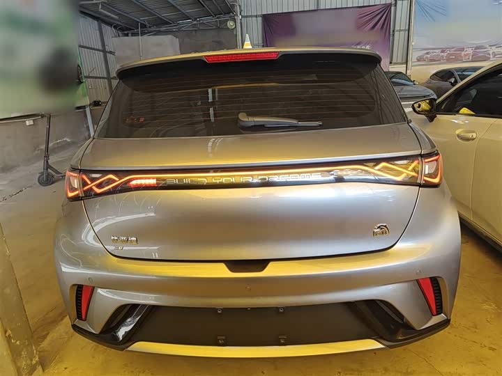 Фото 6 - BYD Dolphin