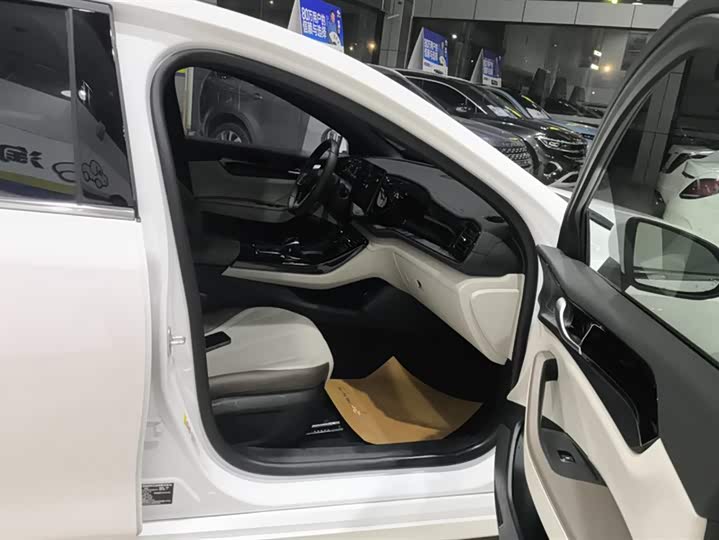 Фото 8 - BYD Qin Plus