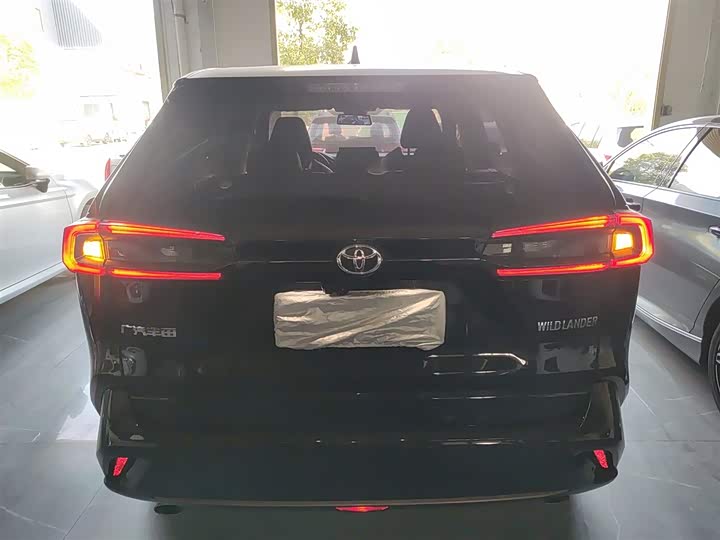 Фото 6 - Toyota Wildlander