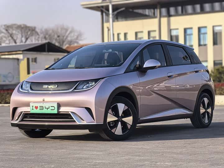 Фото 1 - BYD Dolphin