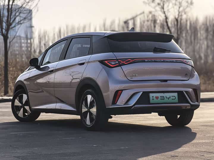 Фото 3 - BYD Dolphin