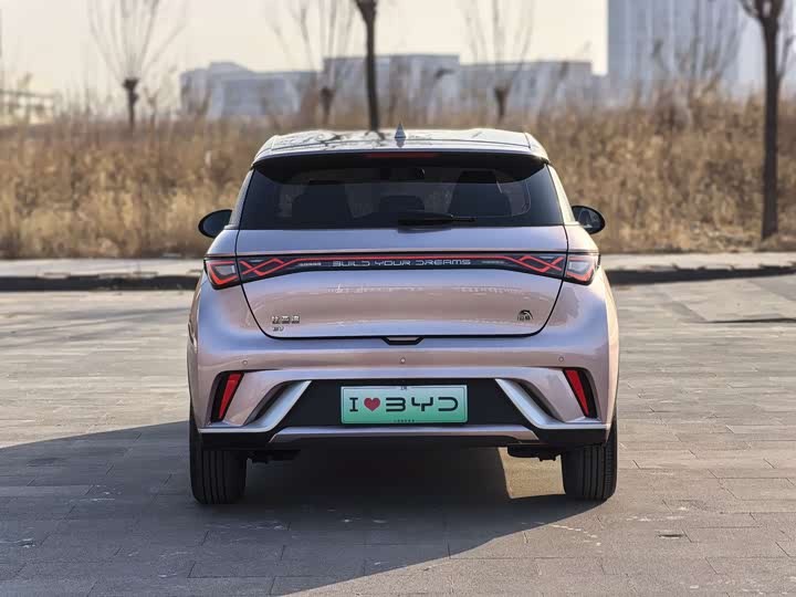 Фото 4 - BYD Dolphin