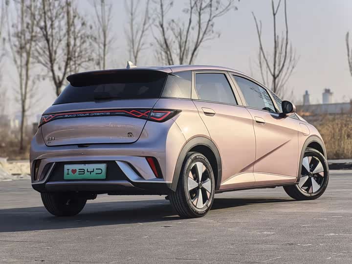 Фото 5 - BYD Dolphin