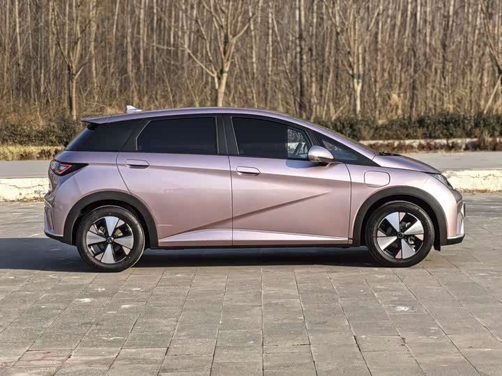 Фото 6 - BYD Dolphin