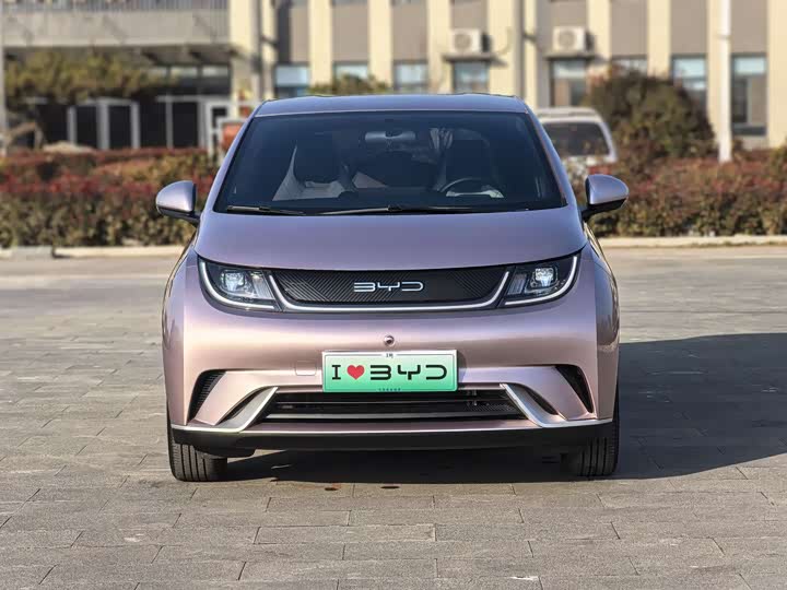 Фото 8 - BYD Dolphin