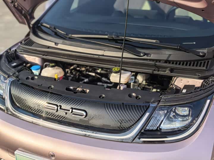 Фото 9 - BYD Dolphin