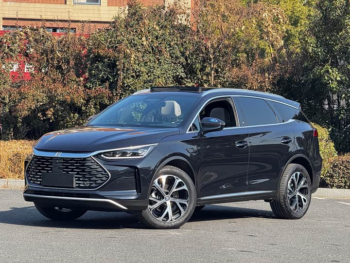 Фото 1 - BYD Tang Hybrid/EV