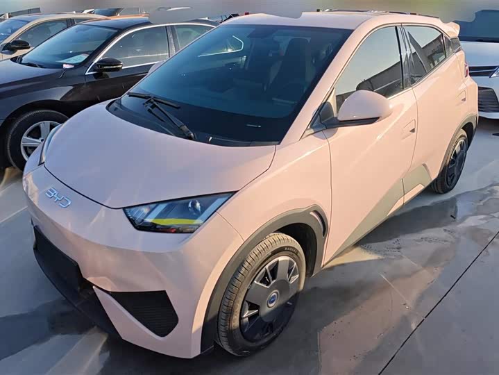 Фото 1 - BYD Seagull