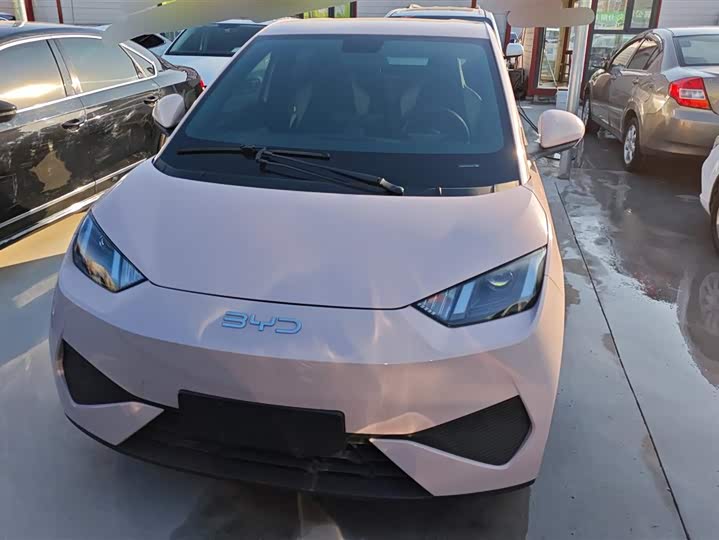 Фото 2 - BYD Seagull