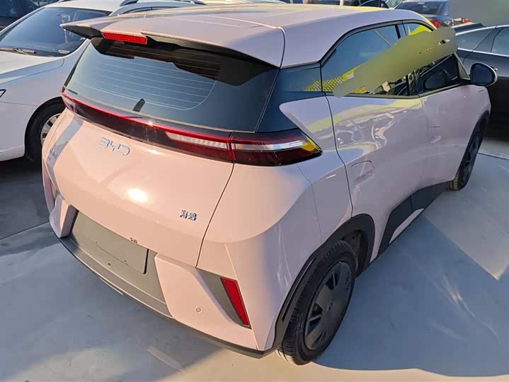 Фото 3 - BYD Seagull