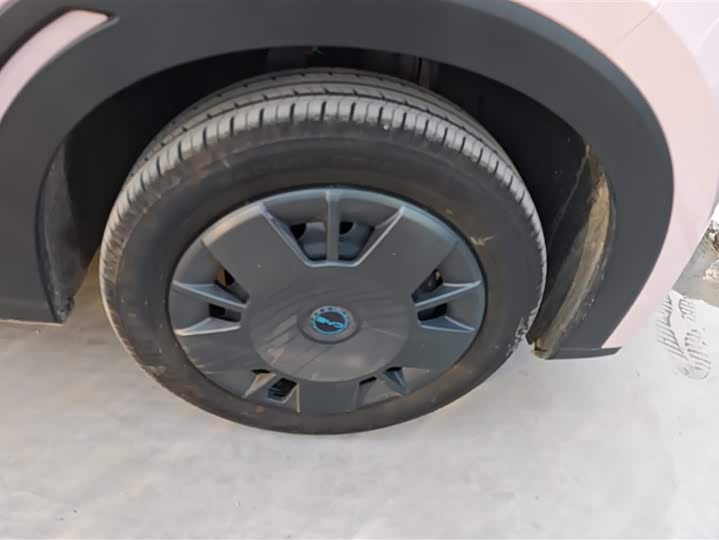 Фото 6 - BYD Seagull