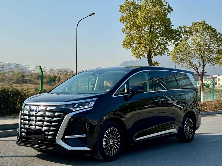 Фото 1 - Denza D9