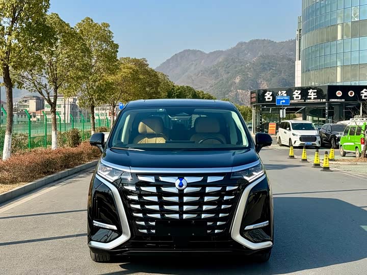 Фото 2 - Denza D9