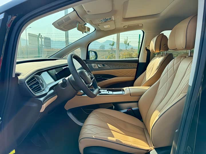 Фото 4 - Denza D9