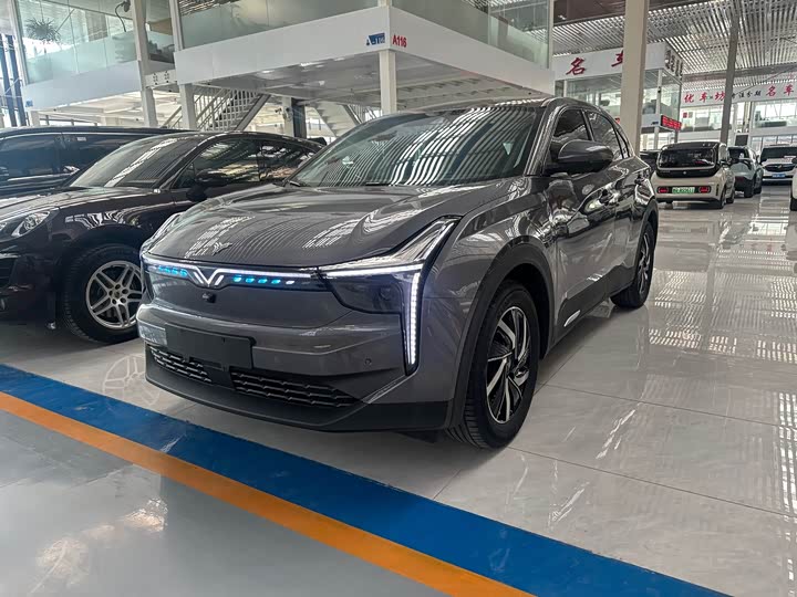 Фото 1 - Hozon U