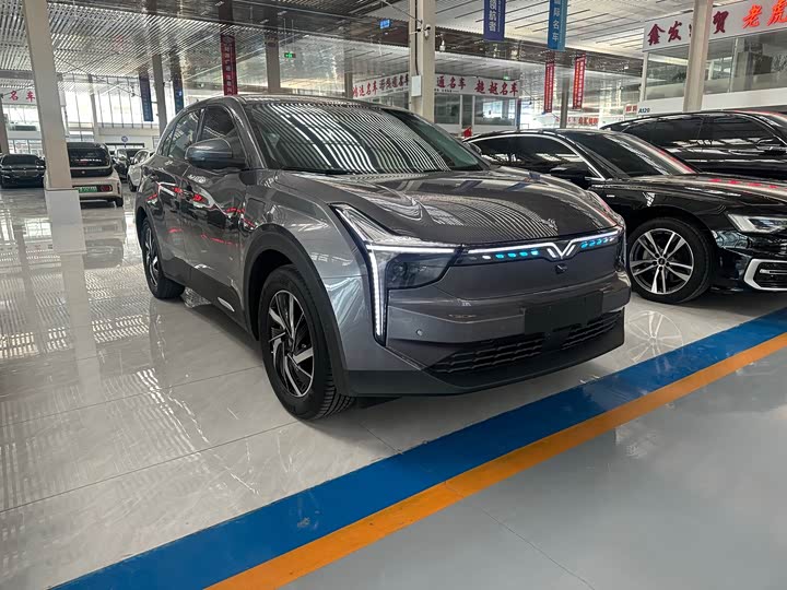 Фото 3 - Hozon U